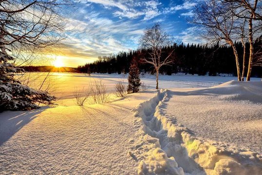 Лунный календарь красоты на декабрь